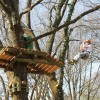 park_30.jpg