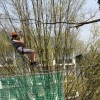 park_52.jpg
