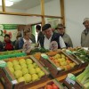 kz_krka_0119.jpg