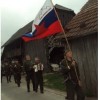 malkovec00_000.jpg