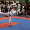 karate_005.jpg