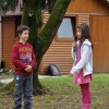 obcinska_lipa011.jpg
