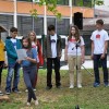 obcinska_lipa009.jpg