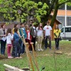 obcinska_lipa022.jpg