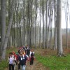 010_000.jpg