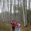 009_000.jpg