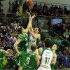 krka_olimpija_17.jpg