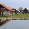 dezela_kozolcev__april_2013__1_.jpg
