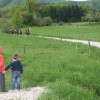 img_0335_000.jpg