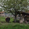 gorica_010.jpg