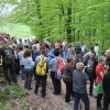gorica_046.jpg