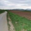gorica_052.jpg