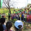 labod_004.jpg