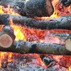 20130413_15087.jpg