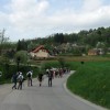 kriz_007.jpg