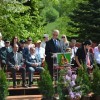javorovica0046.jpg