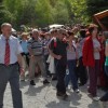 javorovica0040.jpg