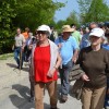 javorovica0009.jpg
