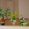 ajda_05_05_2013_002.jpg