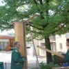 img_3469_000.jpg