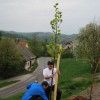 lipai_012.jpg