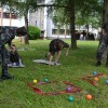 vojasnicanm0030.jpg