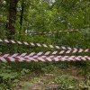 uvodna