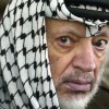 Arafat