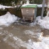 smetnjak v snegu