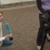 doga pes.jpg