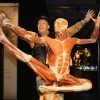 Body+Worlds+Exhibition+Gunther+Von+Hagens+EHDPueoAav1l.jpg
