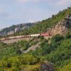 dopust-2011-975.jpg