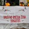 t_dragatus_001.jpg