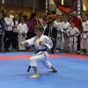z_karate_008.jpg
