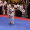 z_karate_010.jpg