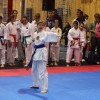 z_karate_005.jpg