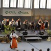 koncert_341.jpg