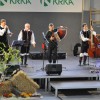 koncert_357.jpg