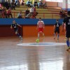 z_kmn_005.jpg