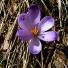 ermanovec_030.jpg