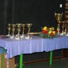 sesalni004.jpg