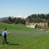 ermanovec_031.jpg