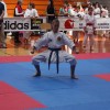 z_karate_003.jpg
