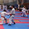 z_karate_016.jpg
