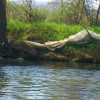 folija_na_krki_30_3_2014_1400pix_013.jpg