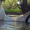folija_na_krki_30_3_2014_1400pix_015.jpg
