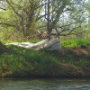 folija_na_krki_30_3_2014_1400pix_014.jpg