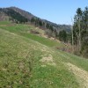 ermanovec_005.jpg