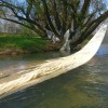 folija_na_krki_30_3_2014_1400pix_019.jpg
