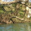 folija_na_krki_30_3_2014_1400pix_006.jpg